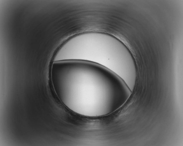 X0000090740438200707201016