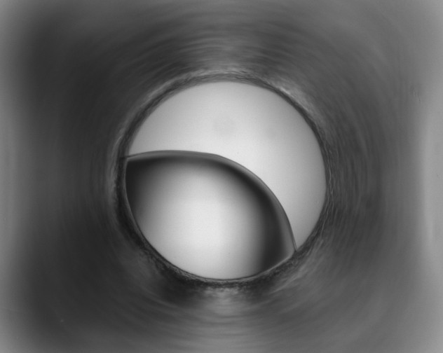 X0000090740440200707201016