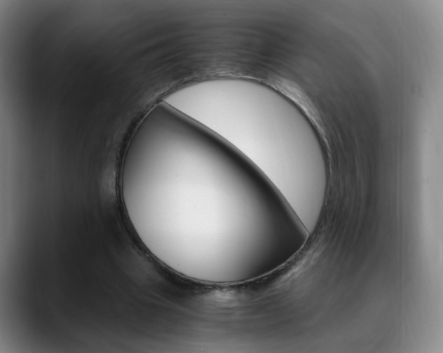 X0000090740441200707201016