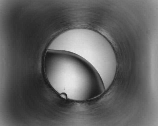 X0000090740442200707201016