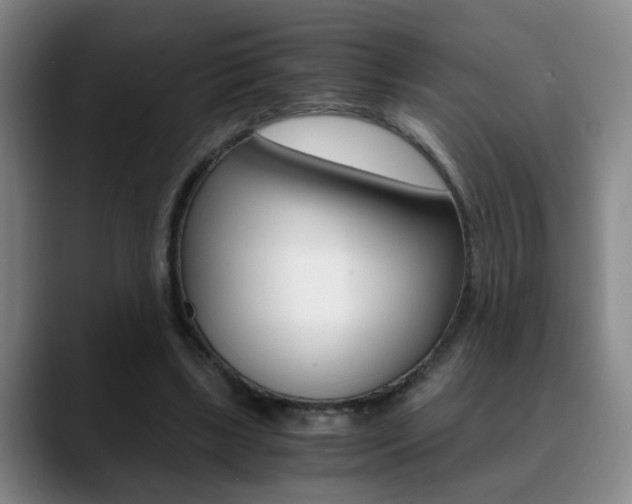 X0000090740443200707201016