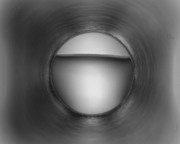 X0000090740445200707201016