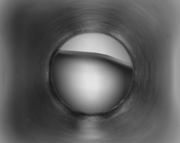 X0000090740446200707201016