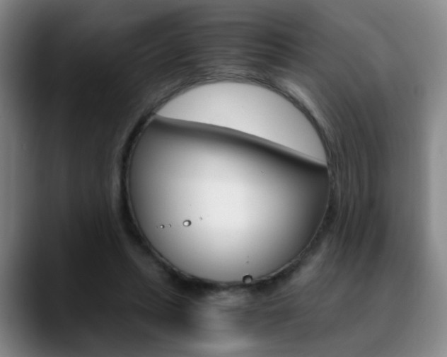 X0000090740447200707201016