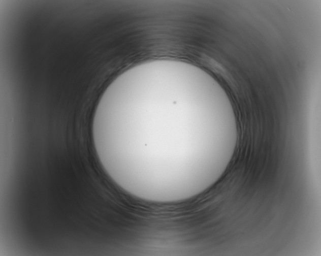 X0000090740452200707201016
