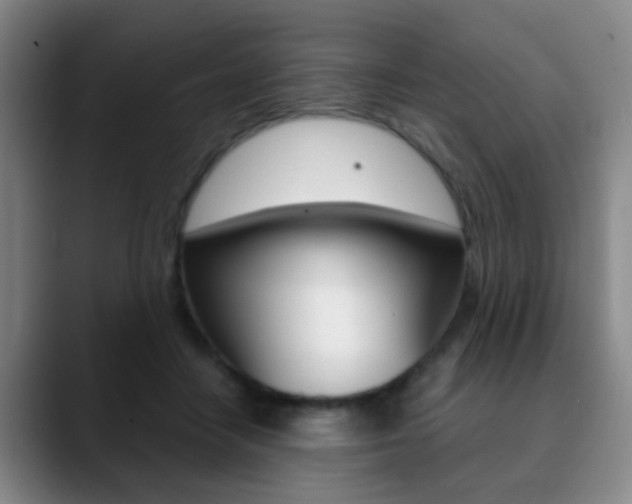 X0000090740458200707201016