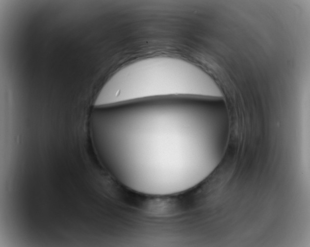 X0000090740461200707201016