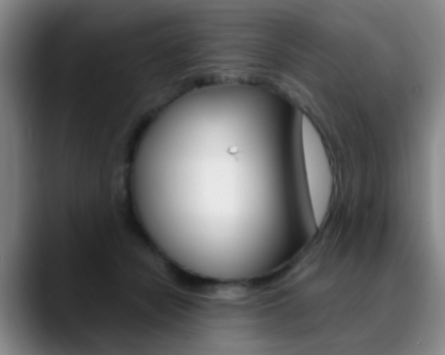 X0000090740462200707201016