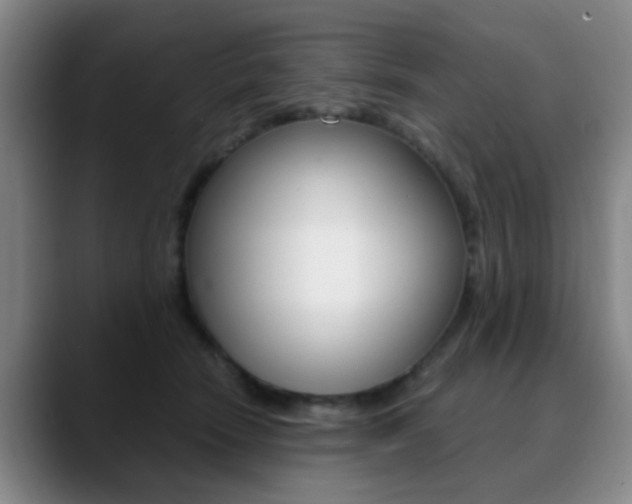X0000090740466200707201016