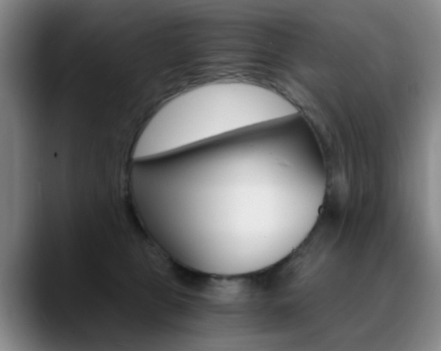 X0000090740469200707201016