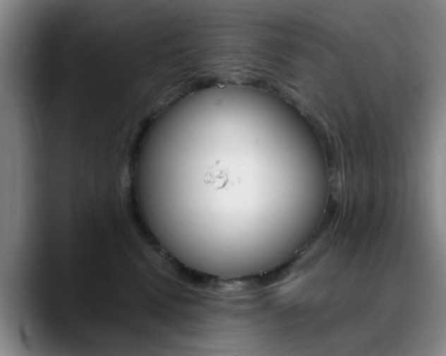 X0000090740472200707201016