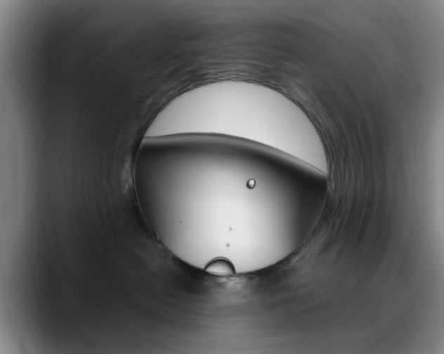 X0000090740478200707201016
