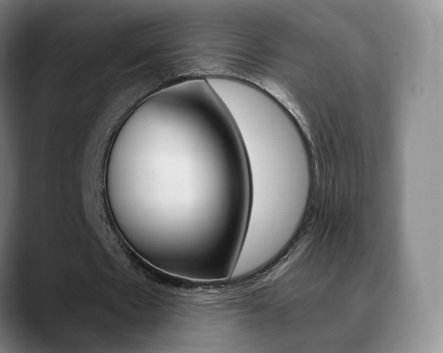 X0000090740481200707201016