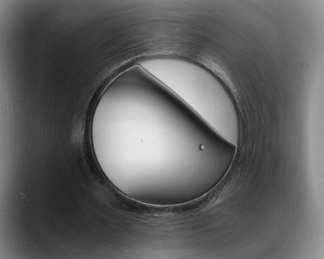 X0000090740483200707201016