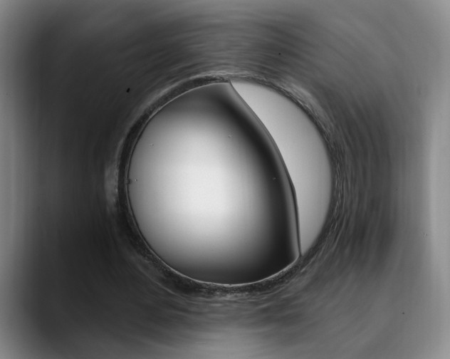 X0000090740484200707201016