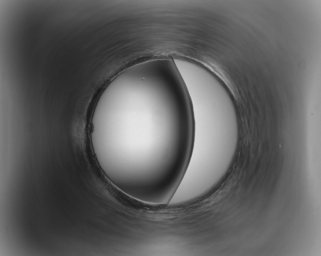 X0000090740485200707201016