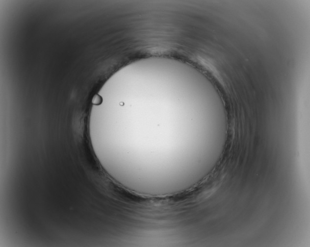 X0000090740495200707201016