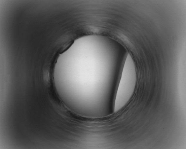 X0000090740500200707201016