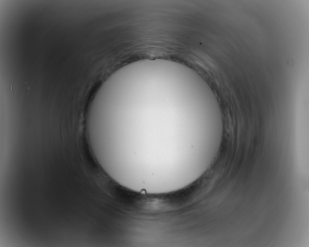 X0000090740507200707201016