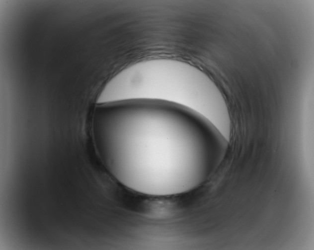 X0000090740512200707201015