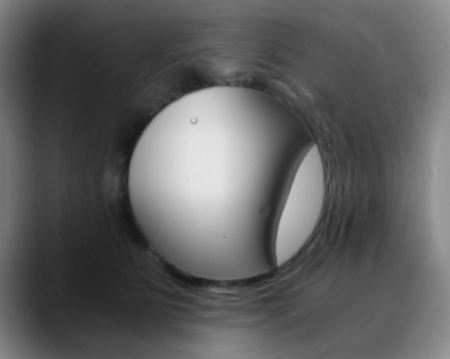 X0000090740515200707201015