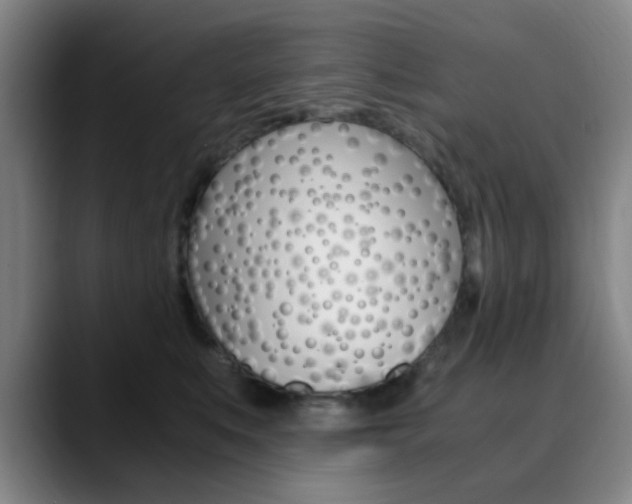X0000090740519200707201015