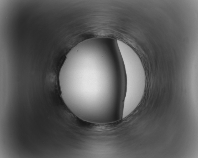 X0000090740521200707201015