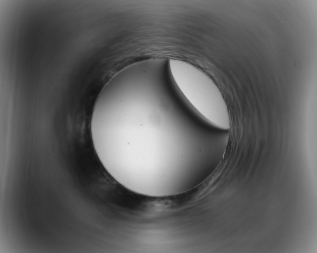 X0000090740525200707201015