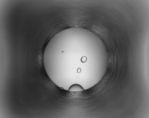 X0000090740526200707201015