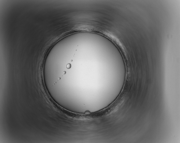 X0000090740529200707201015