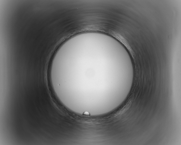 X0000090740530200707201015