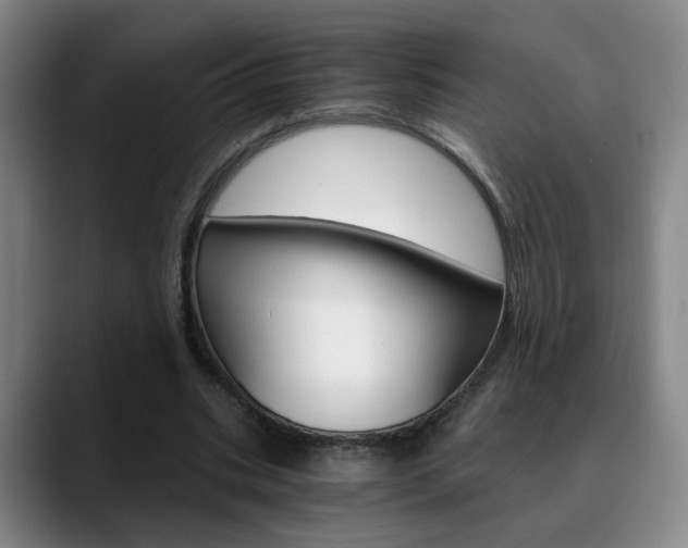 X0000090740535200707201015
