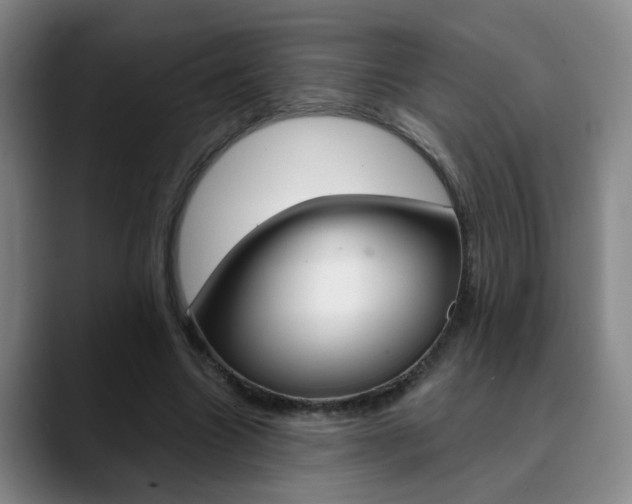 X0000090740538200707201015
