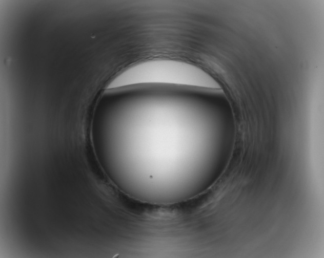 X0000090740546200707201015
