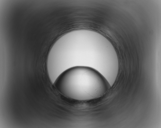 X0000090740551200707201015