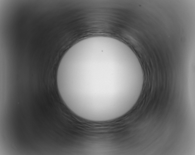 X0000090740556200707201015