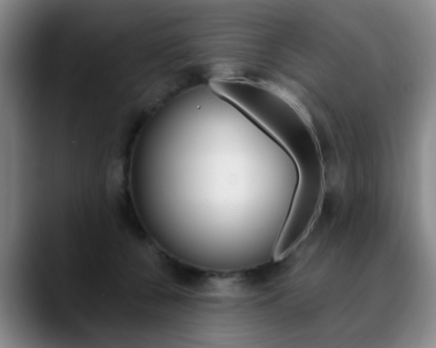 X0000090740560200707201015