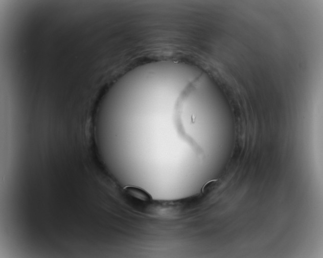 X0000090740563200707201015