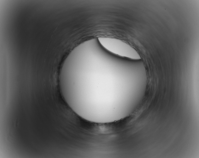 X0000090740565200707201015