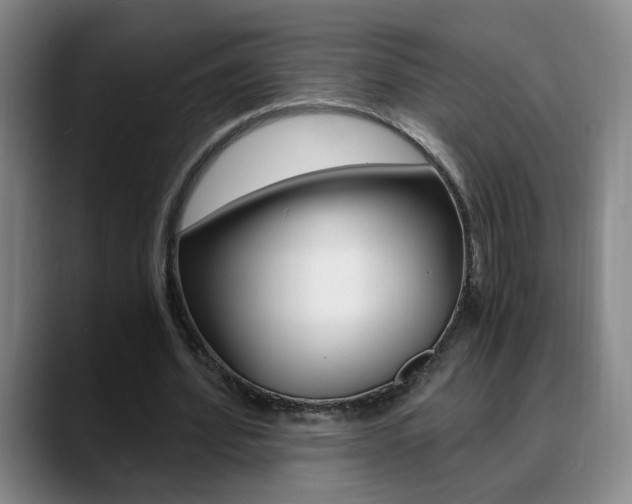 X0000090740580200707201015