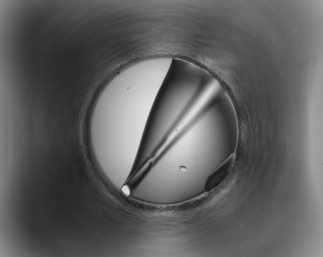 X0000090740581200707201015