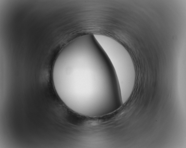 X0000090740595200707201014