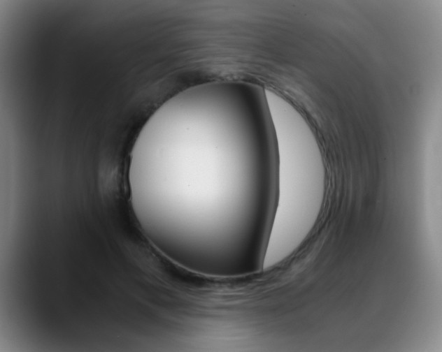 X0000090740597200707201014