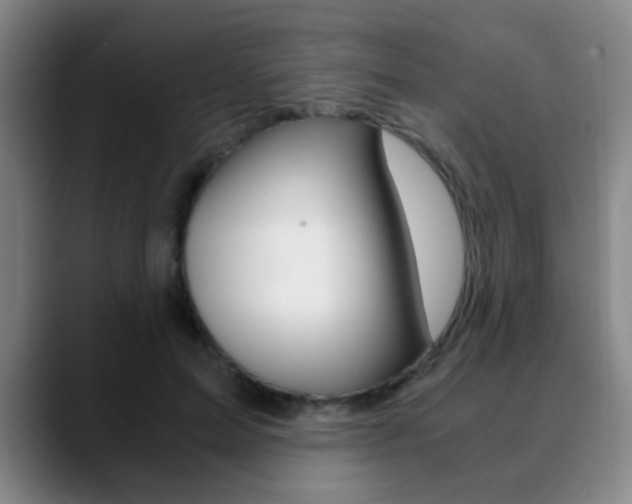 X0000090740599200707201014