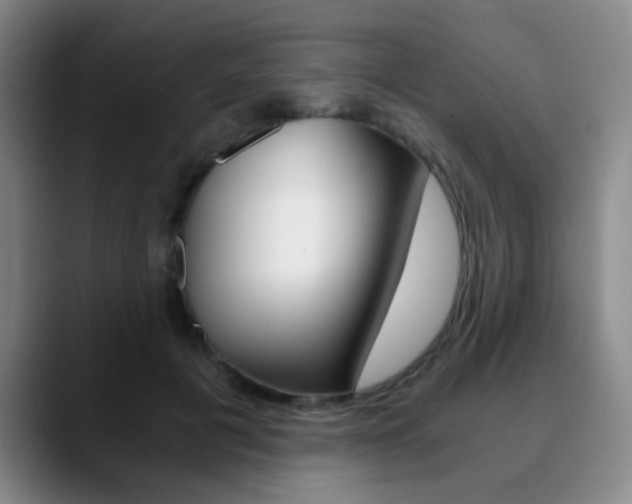 X0000090740601200707201014