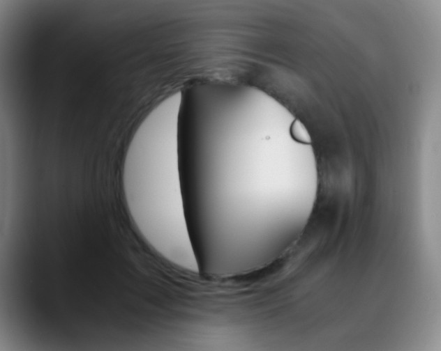 X0000090740603200707201014