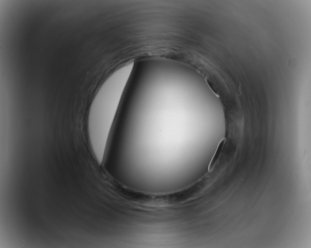 X0000090740604200707201014