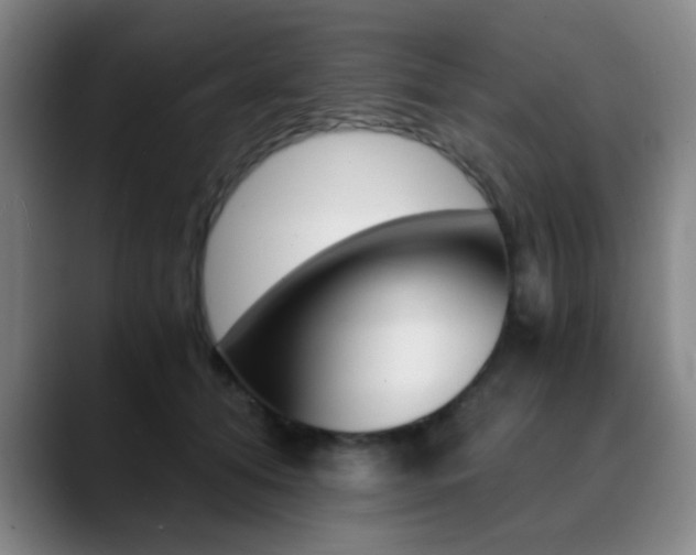 X0000090740608200707201014