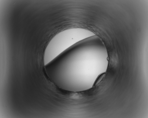 X0000090740616200707201014