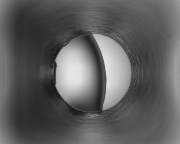 X0000090740617200707201014